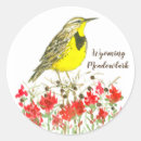 Search for songbirds stickers Yellow bird