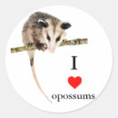 Search for opossums stickers Wildlife