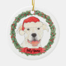 Search for american staffordshire terrier christmas tree decorations Pitbull
