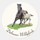 Search for foals stickers Pony