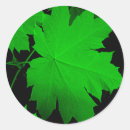 Search for oak leaves stickers Leaf
