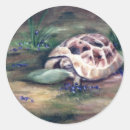 Search for tortoise stickers Wildlife