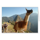 Search for macchu Peru