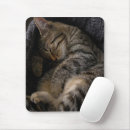 Search for sleeping baby mouse mats Pet
