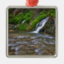 Search for zion national park christmas tree decorations Canyon