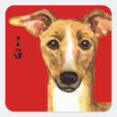 Search for italian greyhound stickers Iggy
