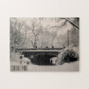Search for central park puzzles Winter