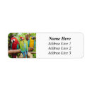 Search for macaw return address labels Bird