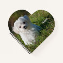 Search for cute fluffy notebooks Pet