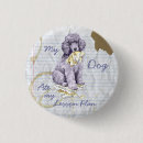 Search for standard poodle badges Puppy