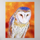 Search for barn owl posters Bird