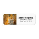 Search for wilderness animal return address labels Nature