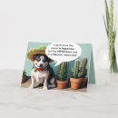 Search for mexican chihuahua cards Mexico