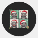 Search for pygmy hippo stickers Funny