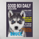 Search for huskies posters Dog breeds