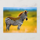 Search for zebra postcards Stripes