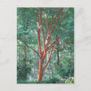 Search for individual postcards Nature