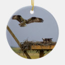 Search for osprey christmas tree decorations Birds