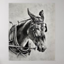 Search for wild horse posters Arabian