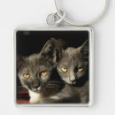 Search for furry animal key rings Cats