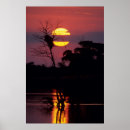 Search for kruger national park posters Colour image