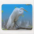 Search for great egret electronics White