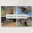 Search for quokka gifts Australia