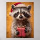 Search for raccoon gifts Santa