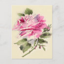 Search for happy mothers day vintage postcards Cute