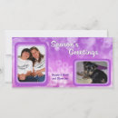 Search for purple christmas cards Winter wonderland