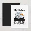 Search for flying eagle postcards Raptor
