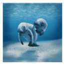 Search for manatee posters Ocean