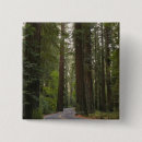 Search for road badges Outdoors