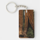 Search for sequoia national park key rings Redwood