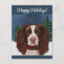 Search for springer postcards English springer spaniel