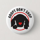 Search for shelters badges Rescue dog