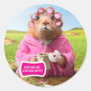 Search for good morning coffee stickers Humour