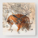 Search for winter clocks Snow