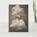 Search for freesias cards Flower