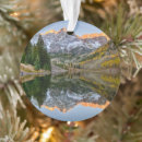 Search for clear sky christmas tree decorations Dawn