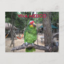 Search for viva postcards Mexico