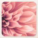 Search for dahlia flower coasters Blossom