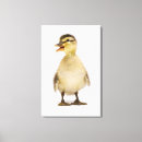 Search for ducklings canvas prints Nature