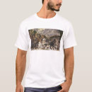 Search for paolo tshirts Uccello
