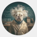 Search for einstein stickers Science