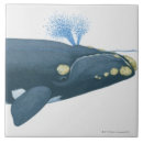 Search for whale tiles Animal