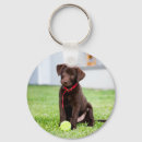 Search for cute tennis key rings Animal