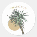 Search for aloe stickers Plant