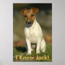 Search for know posters Pets