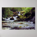 Search for mountain stream posters Smoky mountains